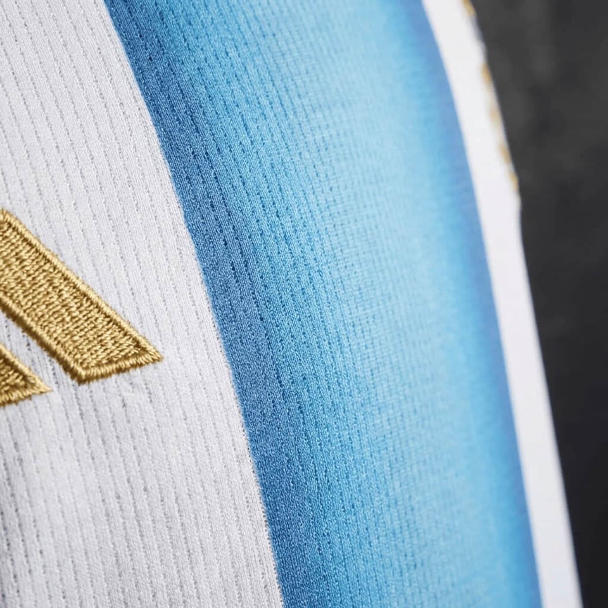 Zadnja strana: Women's Football Vest Argentina 2026 World Cup Home Jersey S-XXL